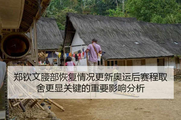 郑钦文腰部恢复情况更新奥运后赛程取舍更显关键的重要影响分析
